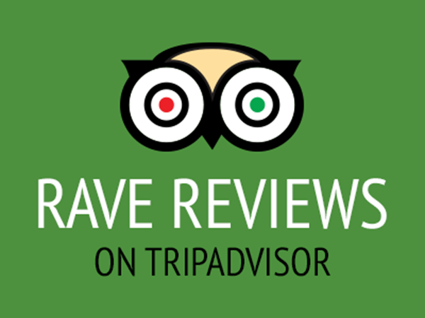 trip advisor logo